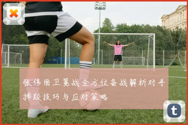 张伟丽卫冕战全方位备战解析对手摔跤技巧与应对策略